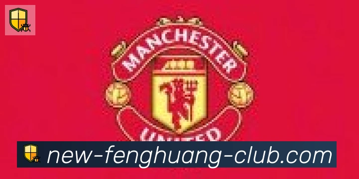 凤凰体育合作伙伴